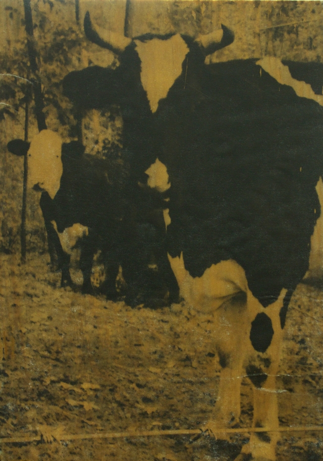 Gel Transfer cow - Reid